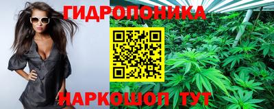 индика Кунгур
