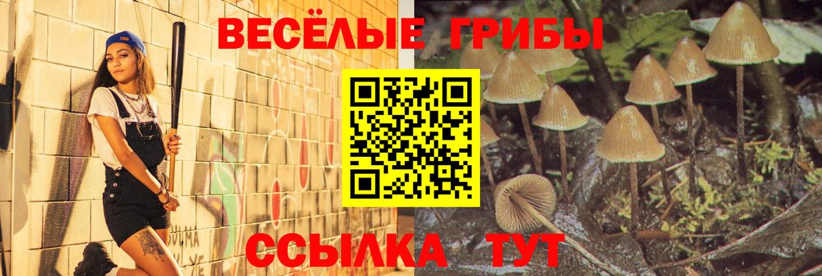 Псилоцибиновые грибы MAGIC MUSHROOMS Великие Луки